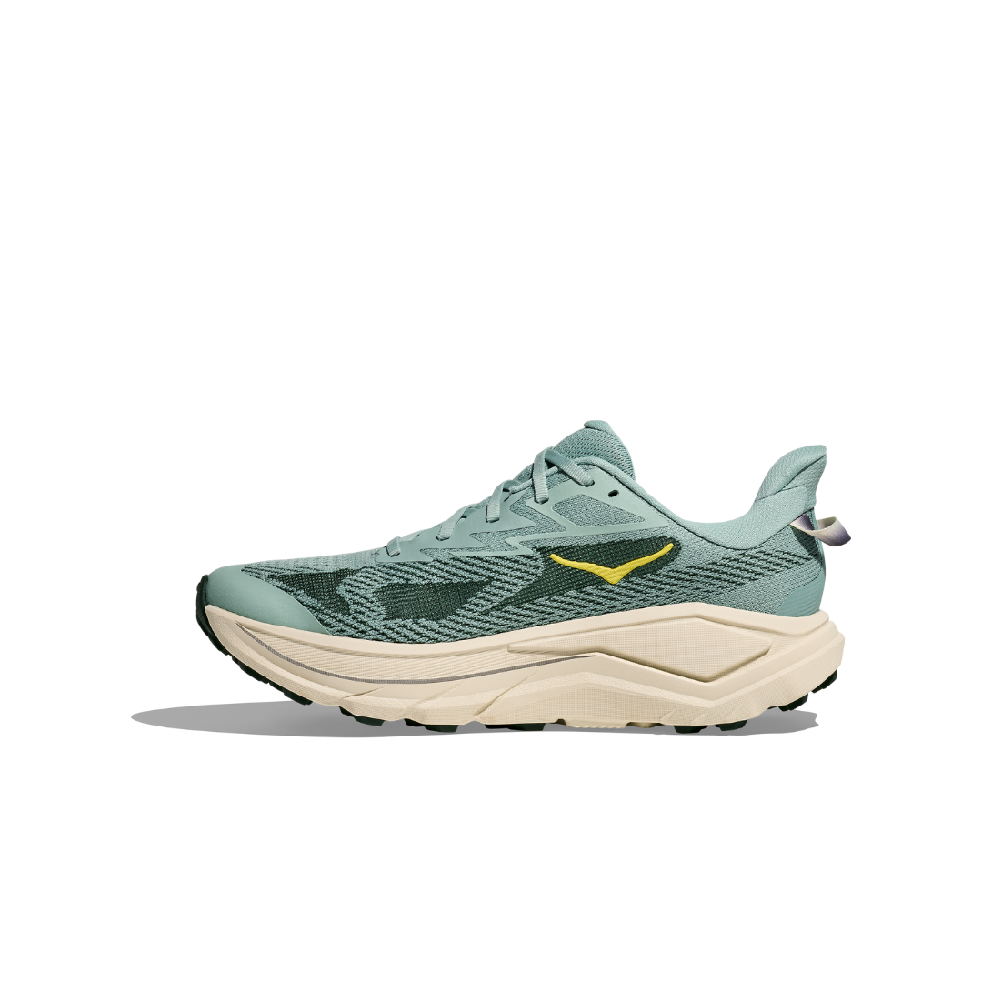 Alternative view of CHALLENGER .8