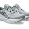 Piedmont Grey/ Pure Silver (020)